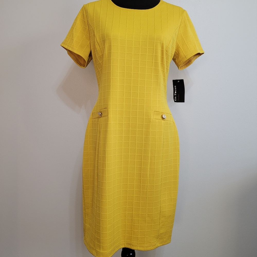 En Focus Dress